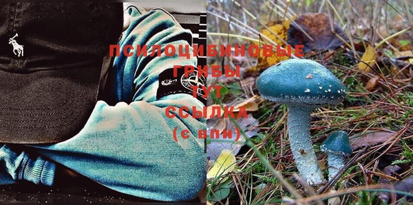 герыч Заречный