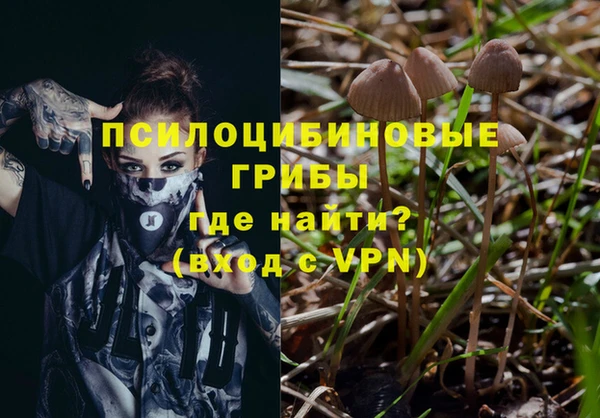 индика Магадан