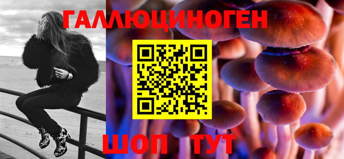 Галлюциногенные грибы мицелий Отрадный